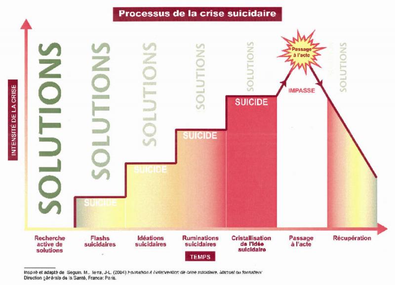 Risque Suicidaire Ciussscn